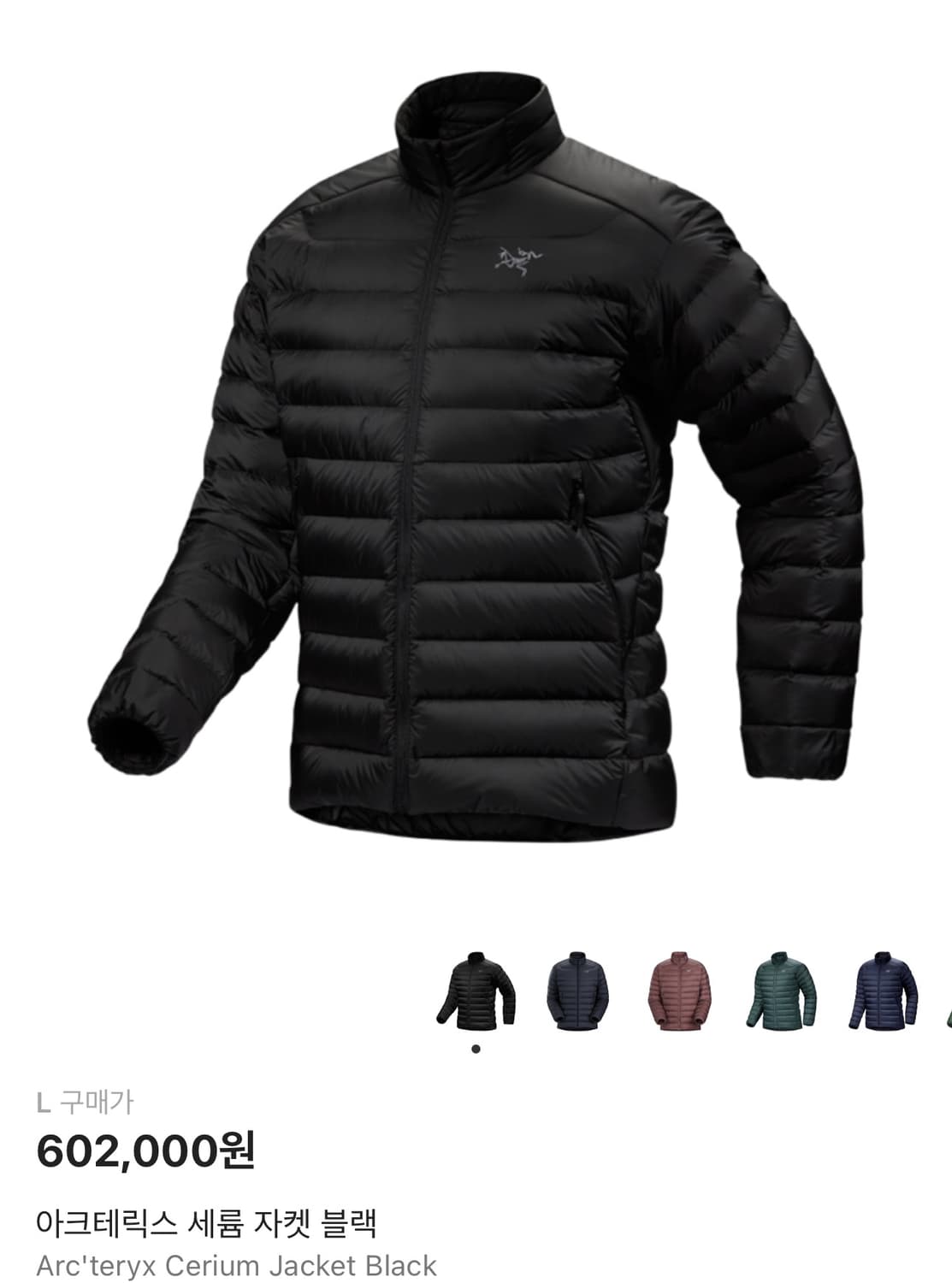 [M] 아크테릭스 세륨 자켓 블랙 새상품 상품이미지1