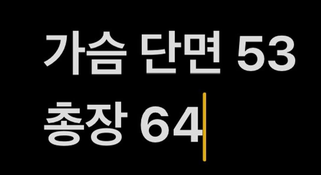 [ 정품/95 ] 나이키 윈드러너 바람막이 자켓 b8 상품이미지7