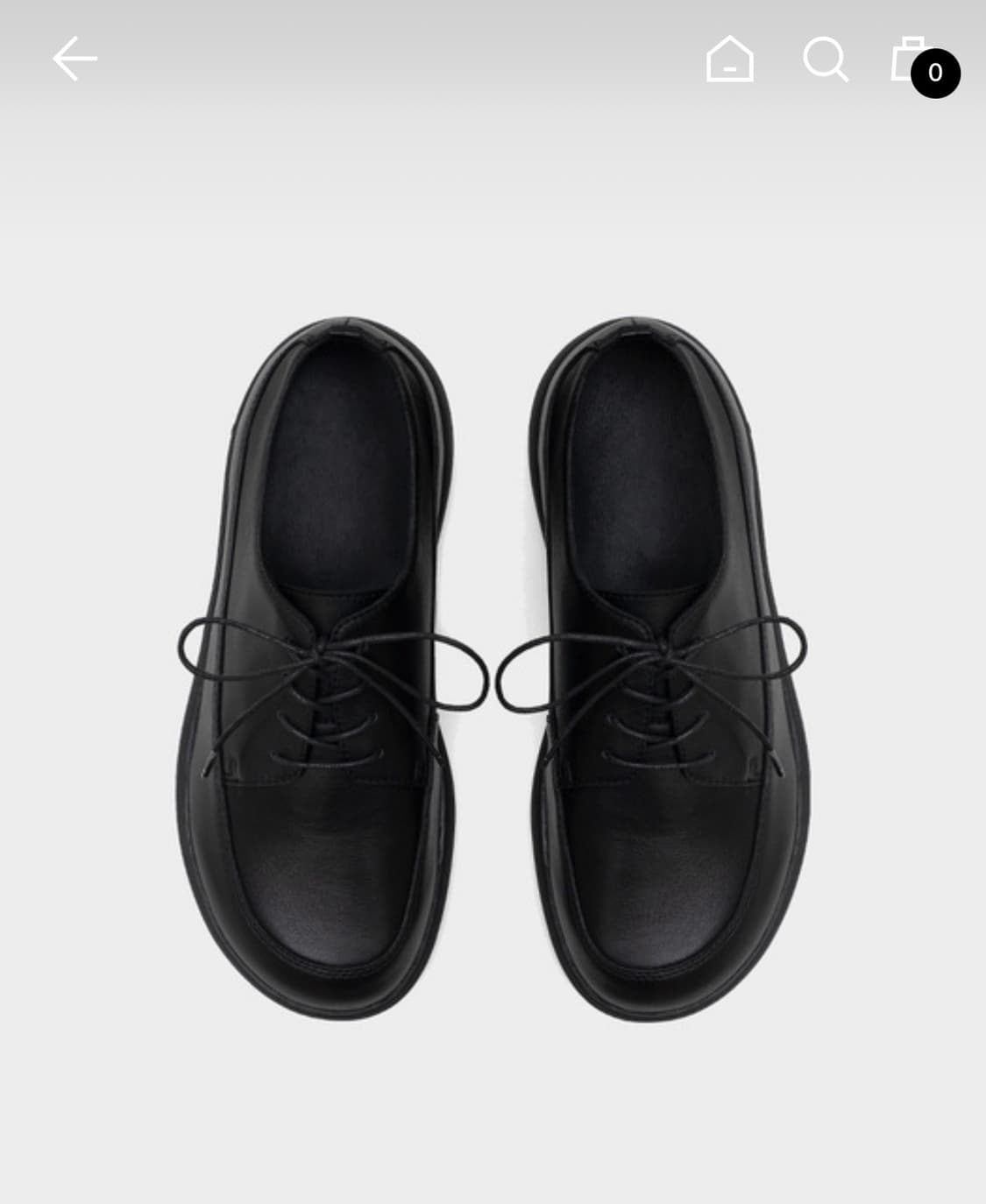 페몬트 wide 270 상품이미지2