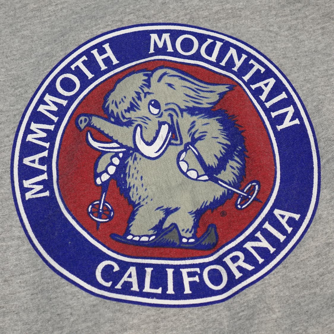 Hanes 매머드 마운틴 빈티지 후드스웻 상품이미지5