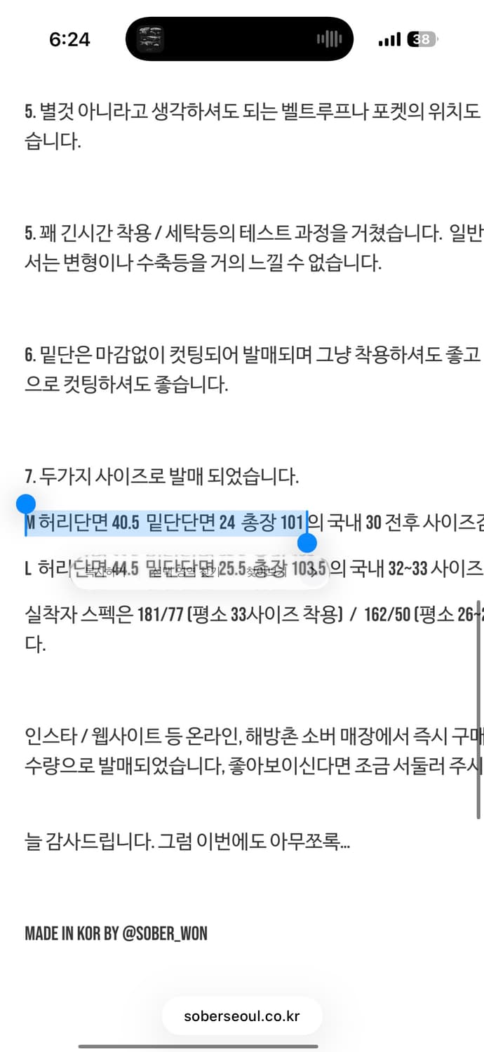 소버 25FW Sober Goods 블랭크 스케이트 팬츠 M (30) 상품이미지10