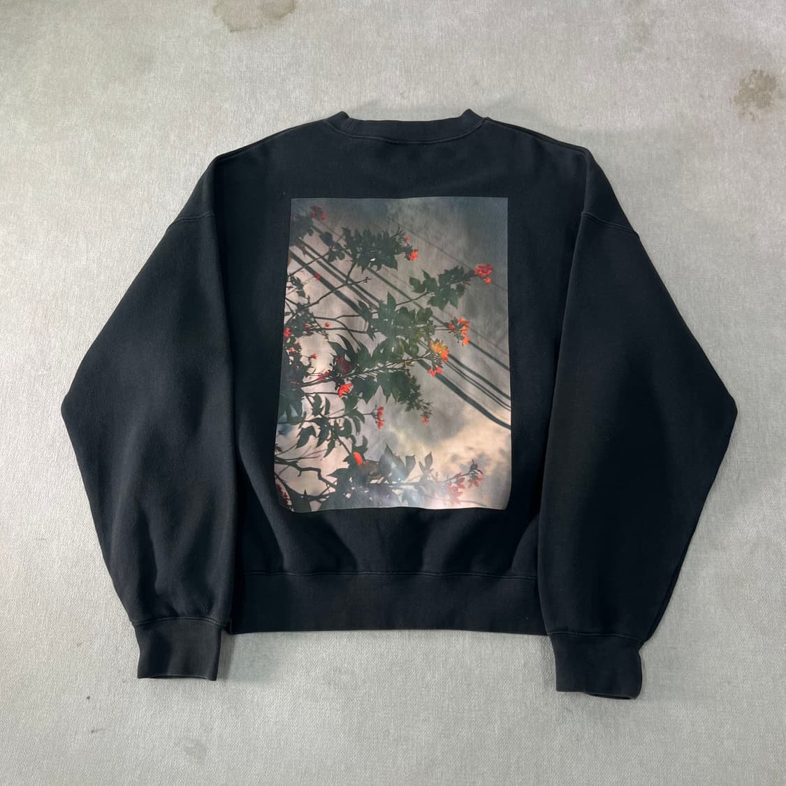 105 피오갓 에센셜 포토 프린팅 맨투맨 상품이미지1