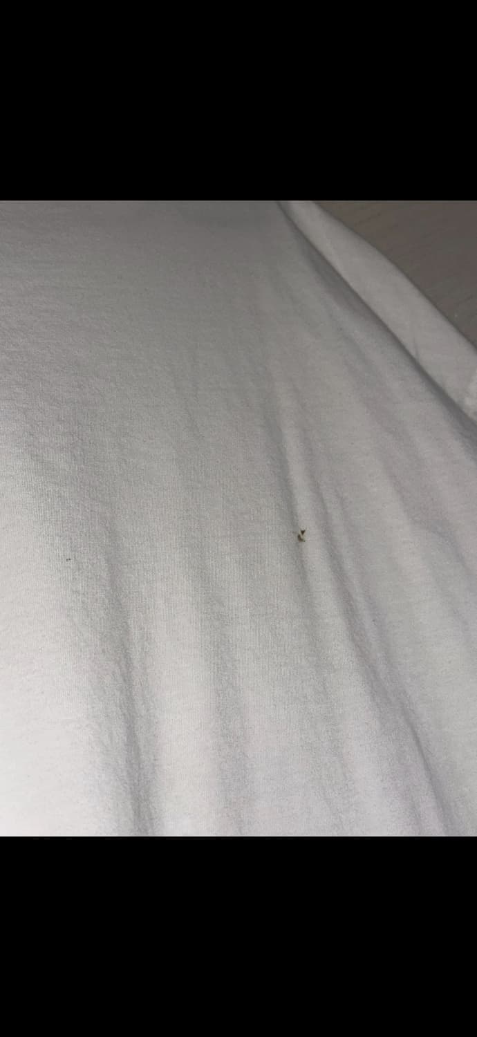 Maison Margiela 입어볼 수 있는 기회를 줄게 상품이미지3