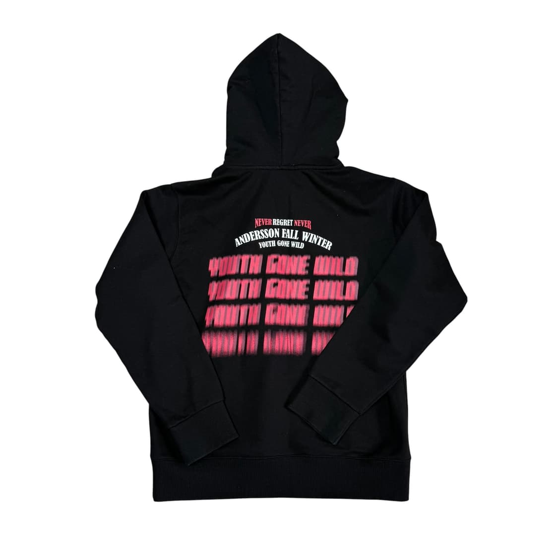 앤더슨밸 후드티 상품이미지3