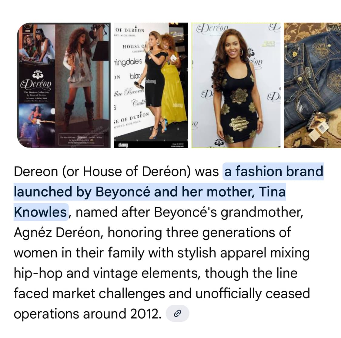 Dereon 프린팅 실버 큐빅디테일 후드집업 상품이미지5