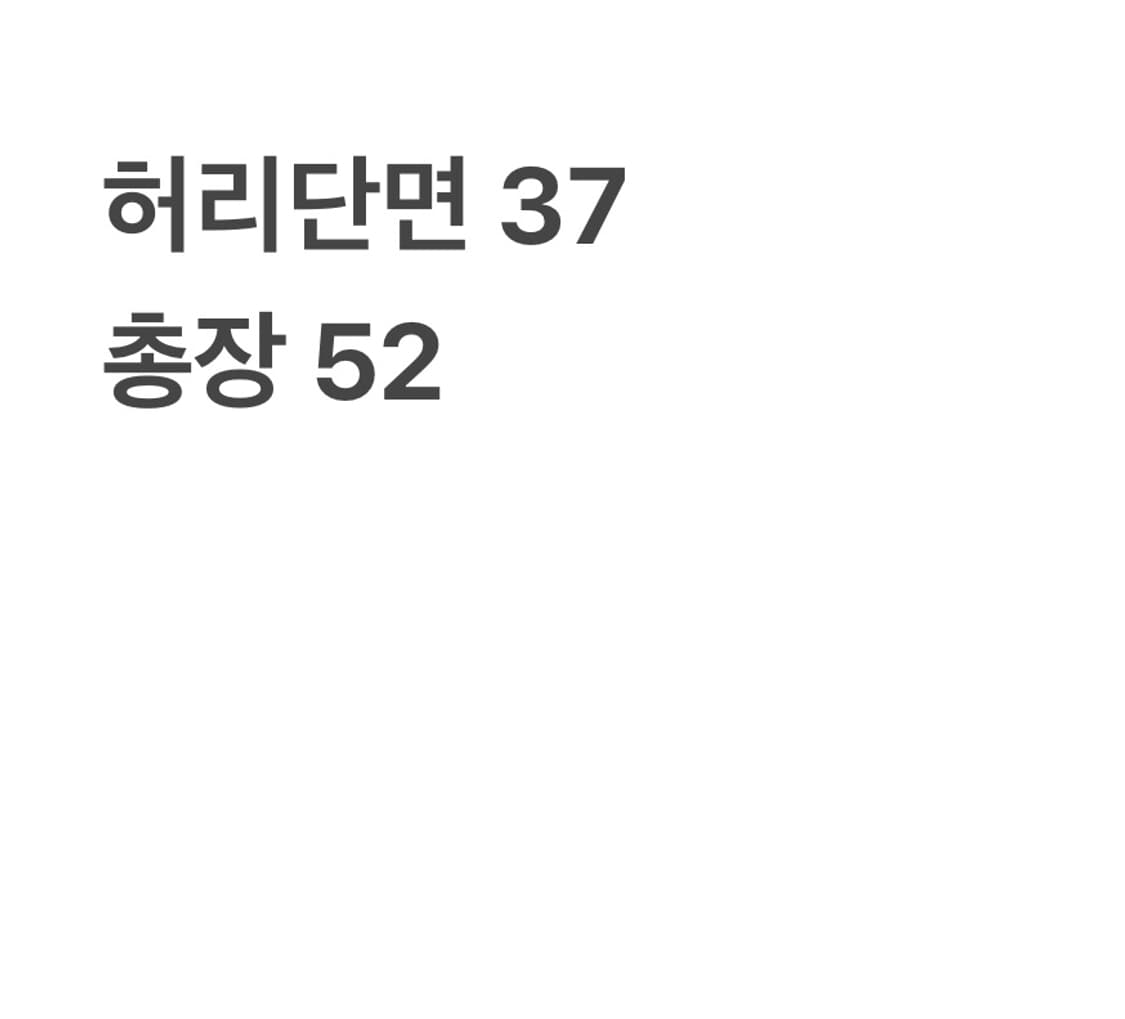 dickies 밴딩 베이지 버뮤다 팬츠 상품이미지7