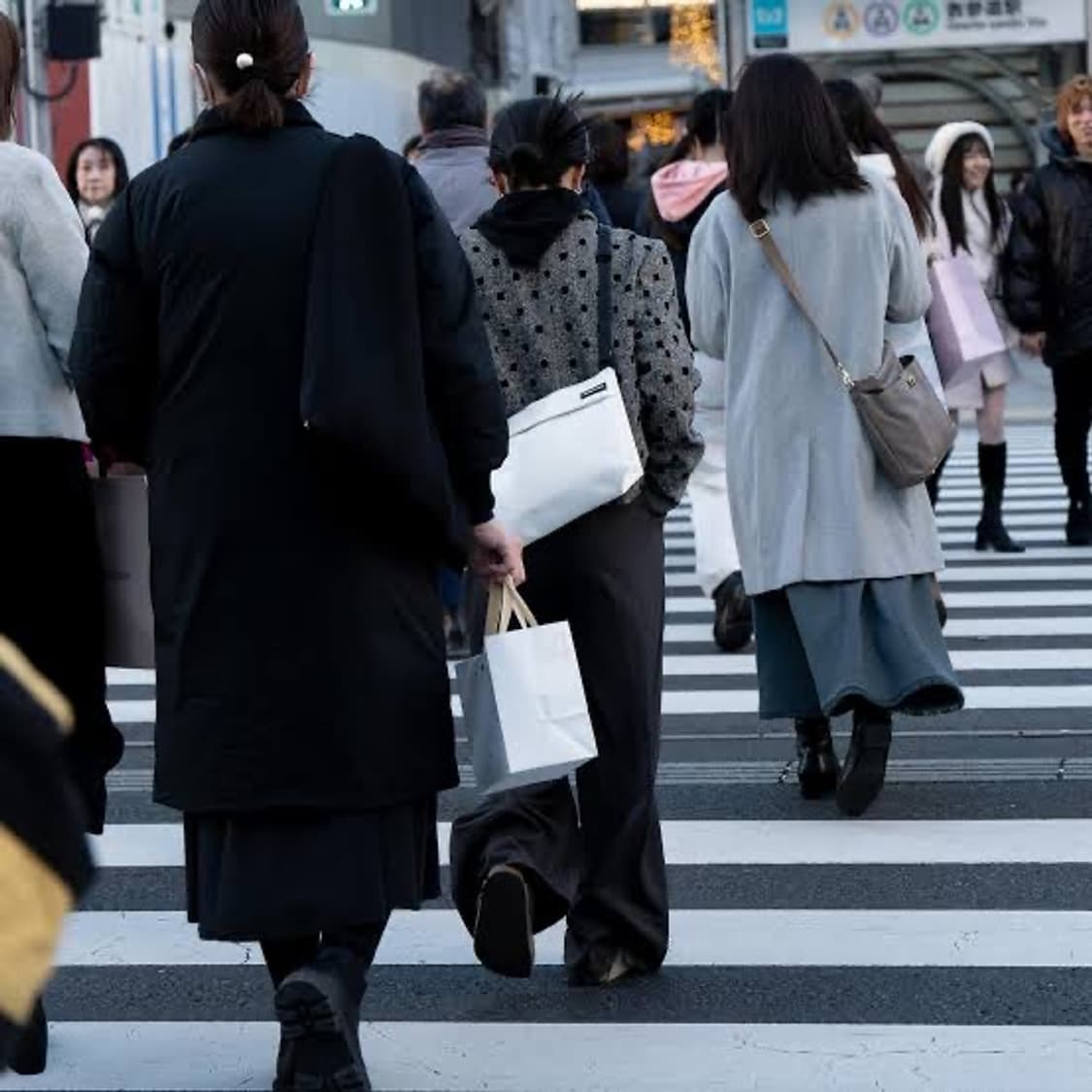 FREITAG F553 LOU / 프라이탁 루 올아이보리 상품이미지6
