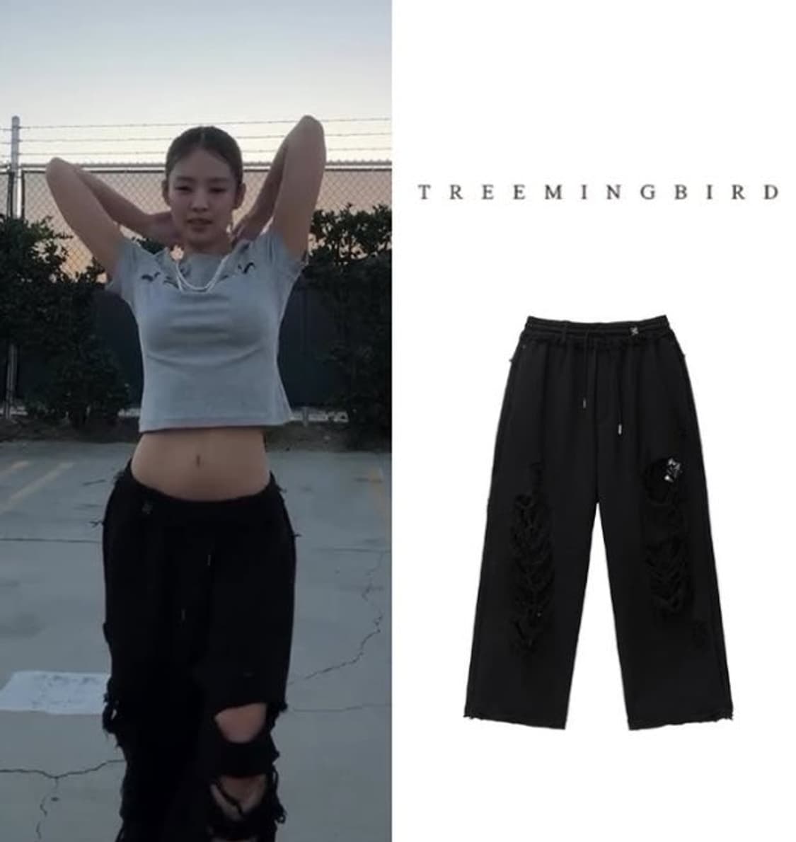 트리밍버드 스크래치 데미지 와이드 스웻 팬츠  상품이미지2