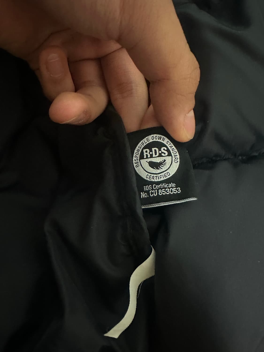 노스페이스 눕시 1996 에코  상품이미지6