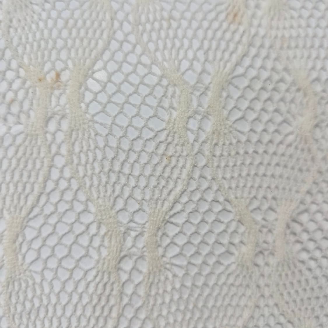 Celibataire 오프화이트 레이스 패턴 팬티스타킹 상품이미지3