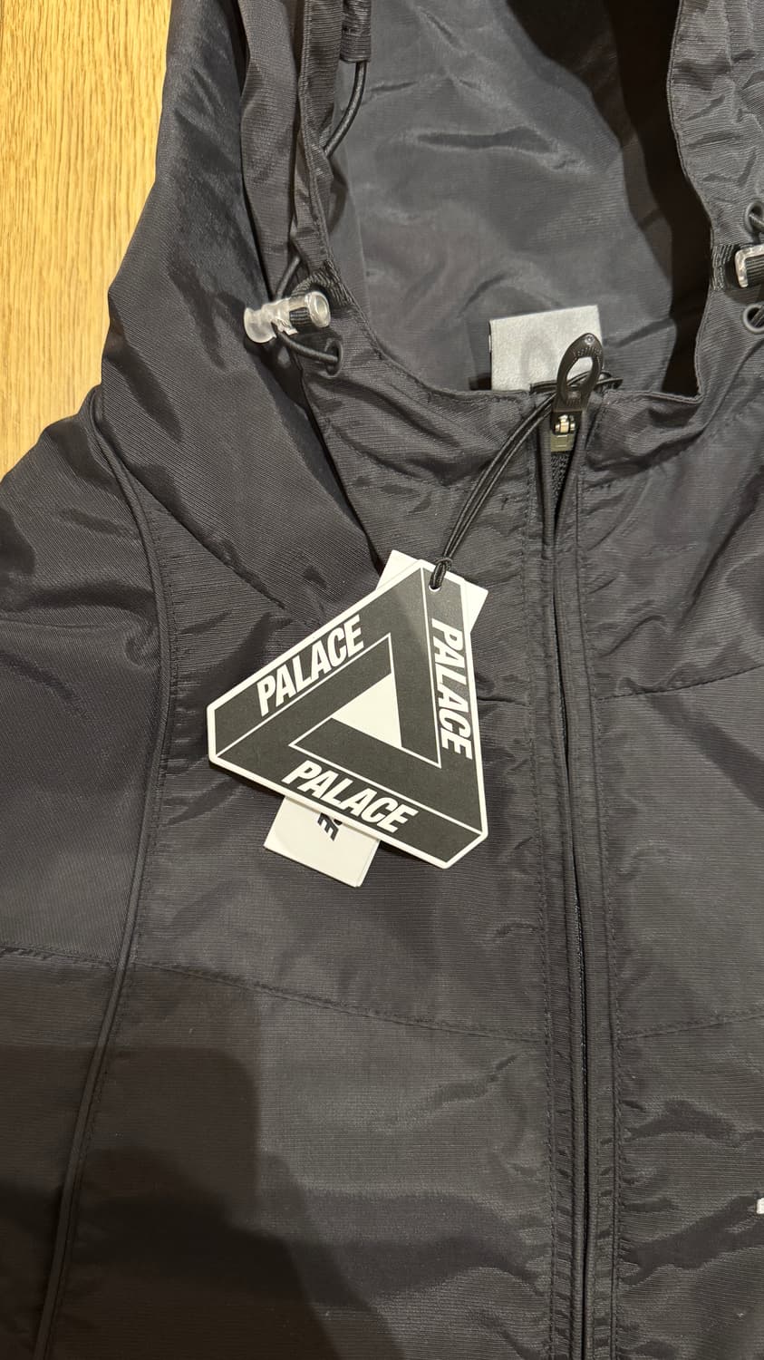 PALACE X OAKLEY NITROFUEL JACKEG 상품이미지4