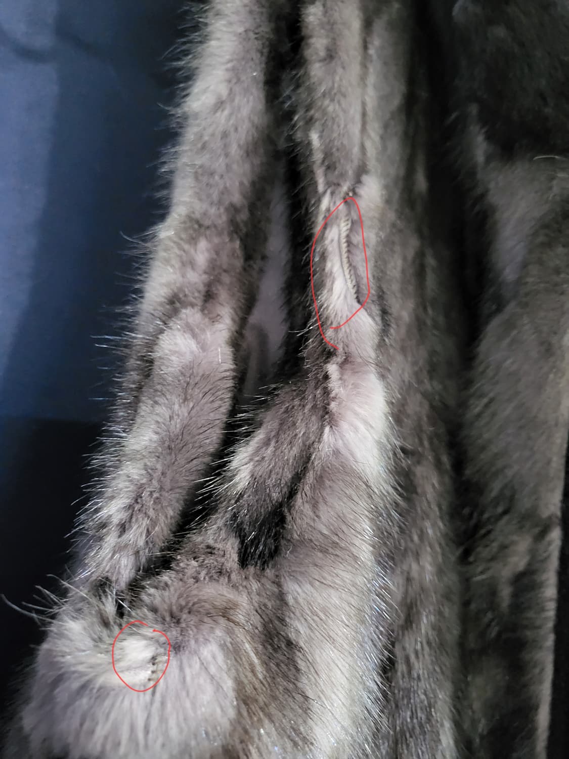 macaw 마코 천연밍크 후드베스트 상품이미지5