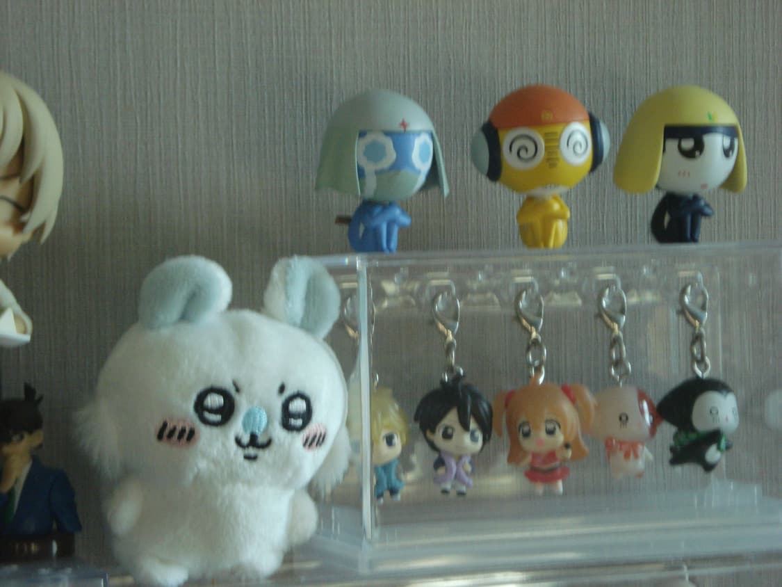 소니 사이버샷 dsc-w55 상품이미지10