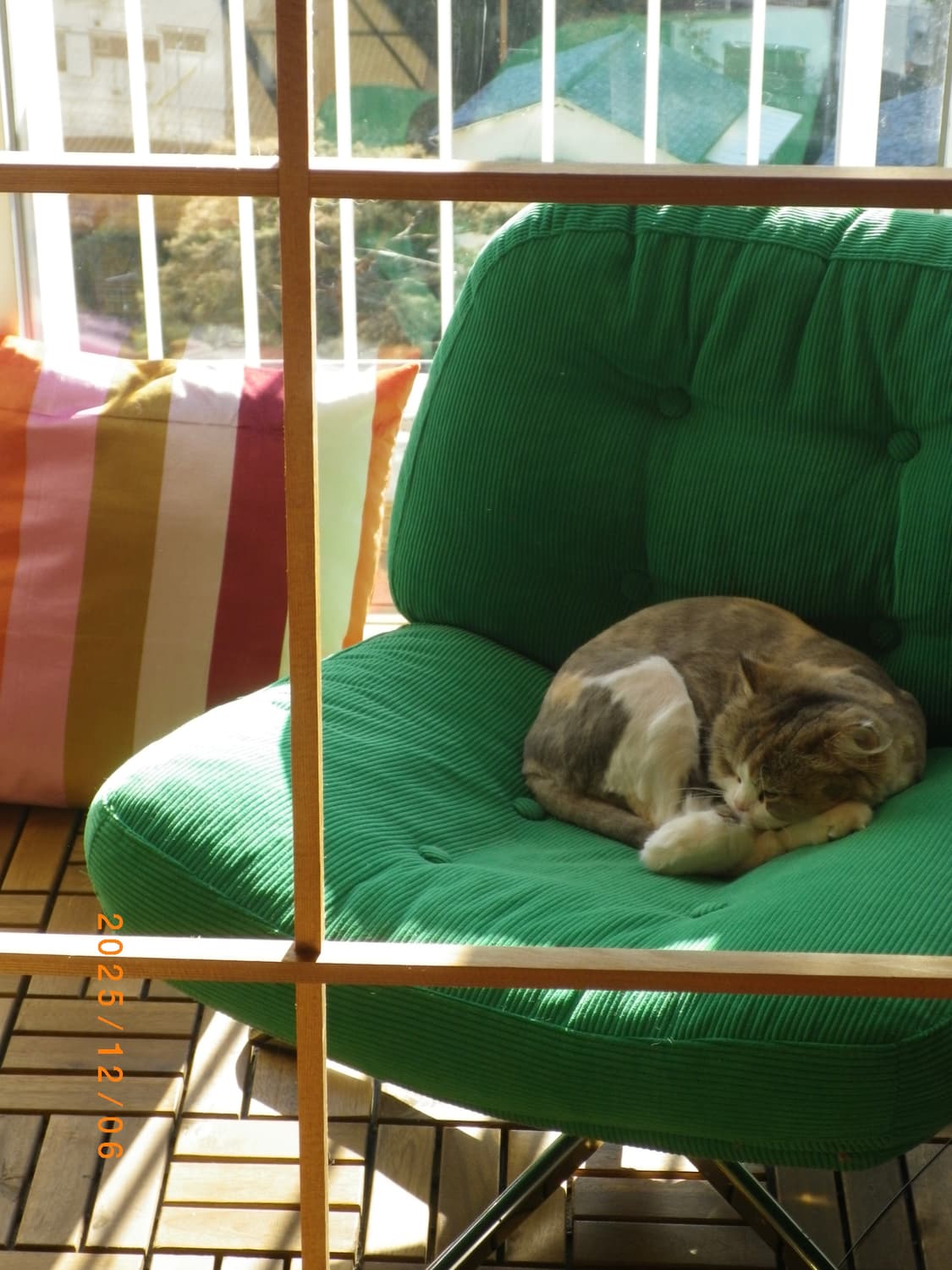 🕊️필카톤🤍 펜탁스 PENTAX I-10 아이보리 빈티지 디카 상품이미지9