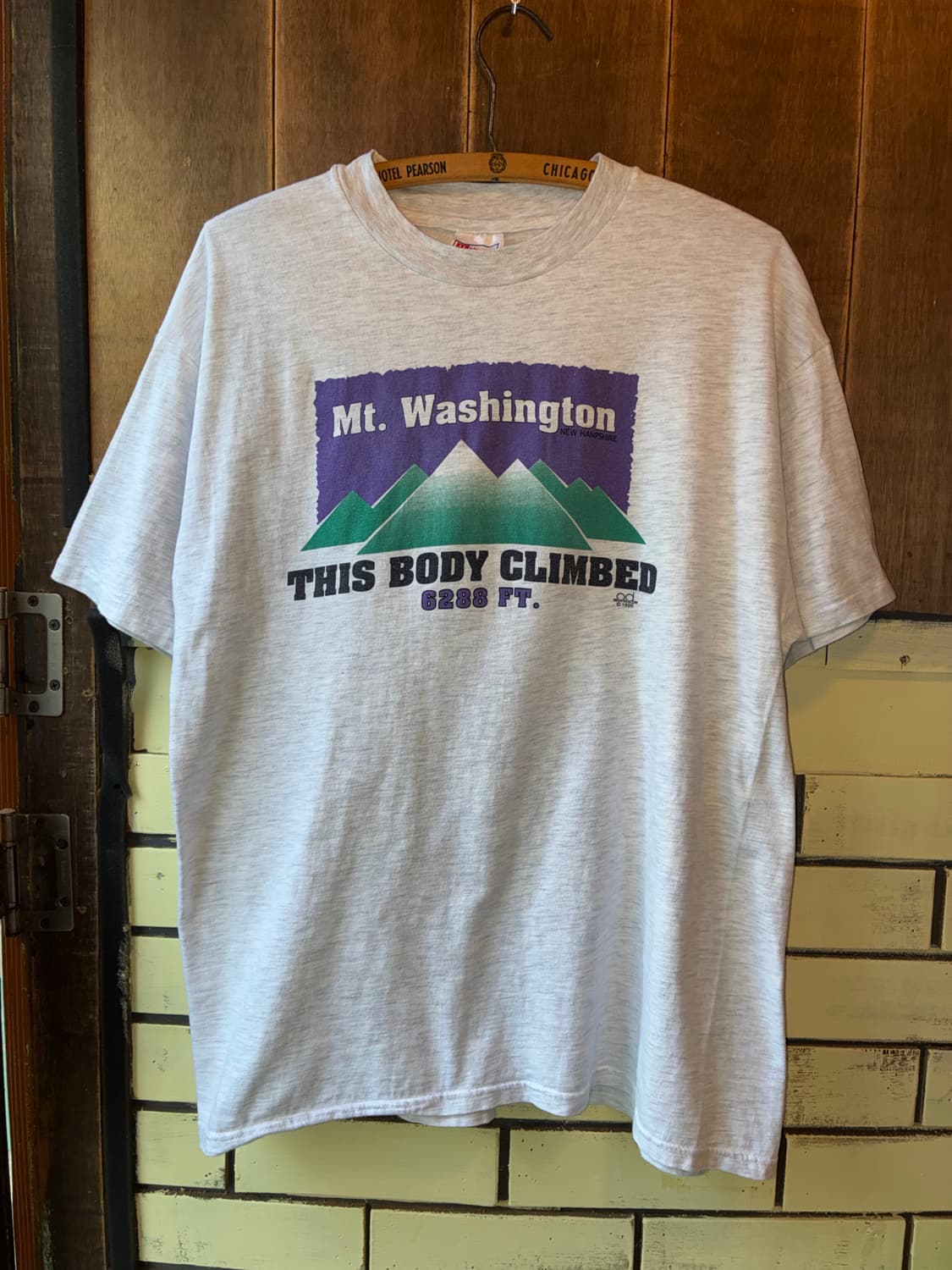 90s vintage Mt. Washington Graphic Tee 상품이미지1