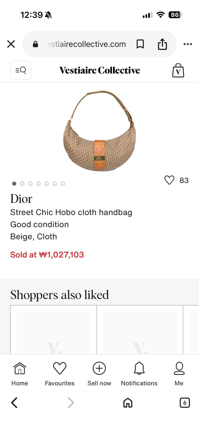 디올 오블리크 트로터 반달 호보백  상품이미지8