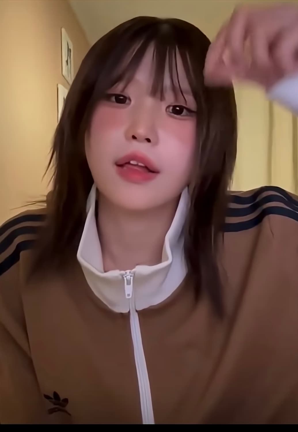 아디다스 삼선 오리지널 와플 트랙탑 져지 화이트 브라운 상품이미지4