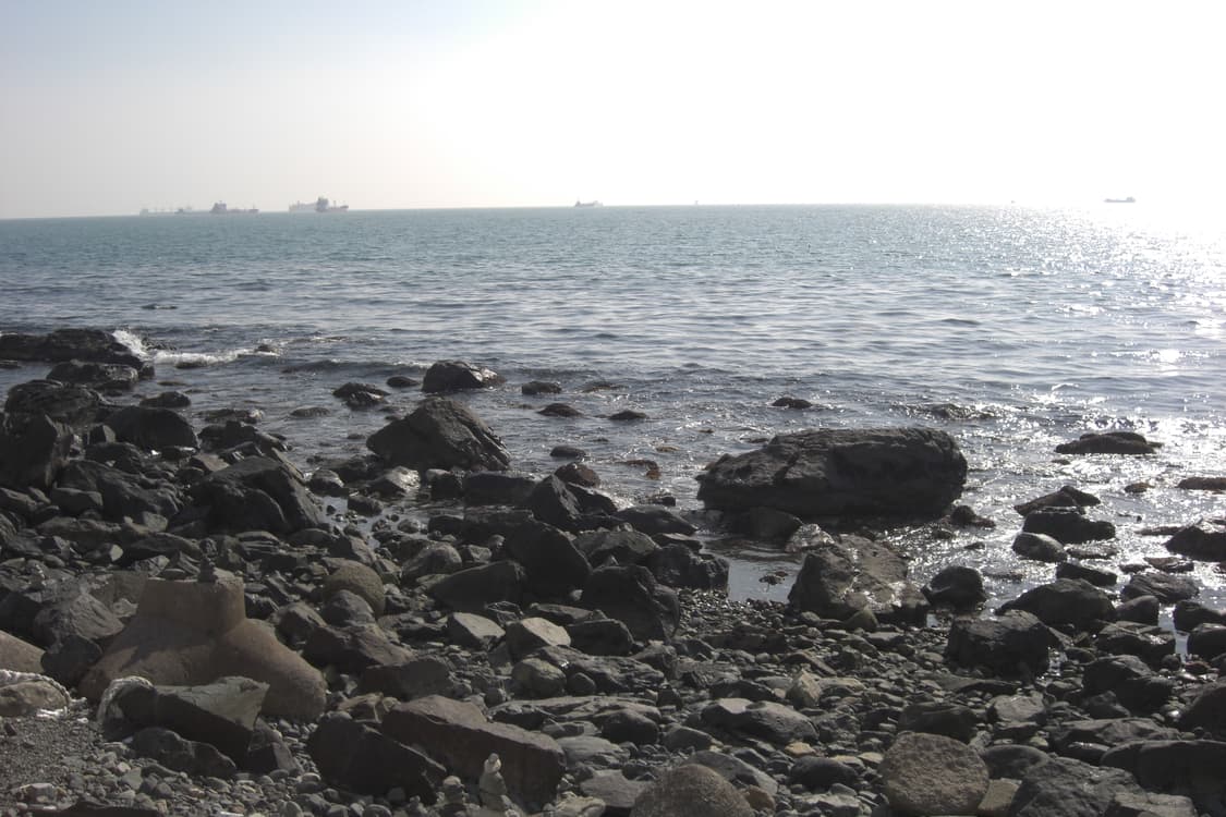 카시오 엑슬림 z1050 골드(르세라핌 은채 디카)작례포함 상품이미지7