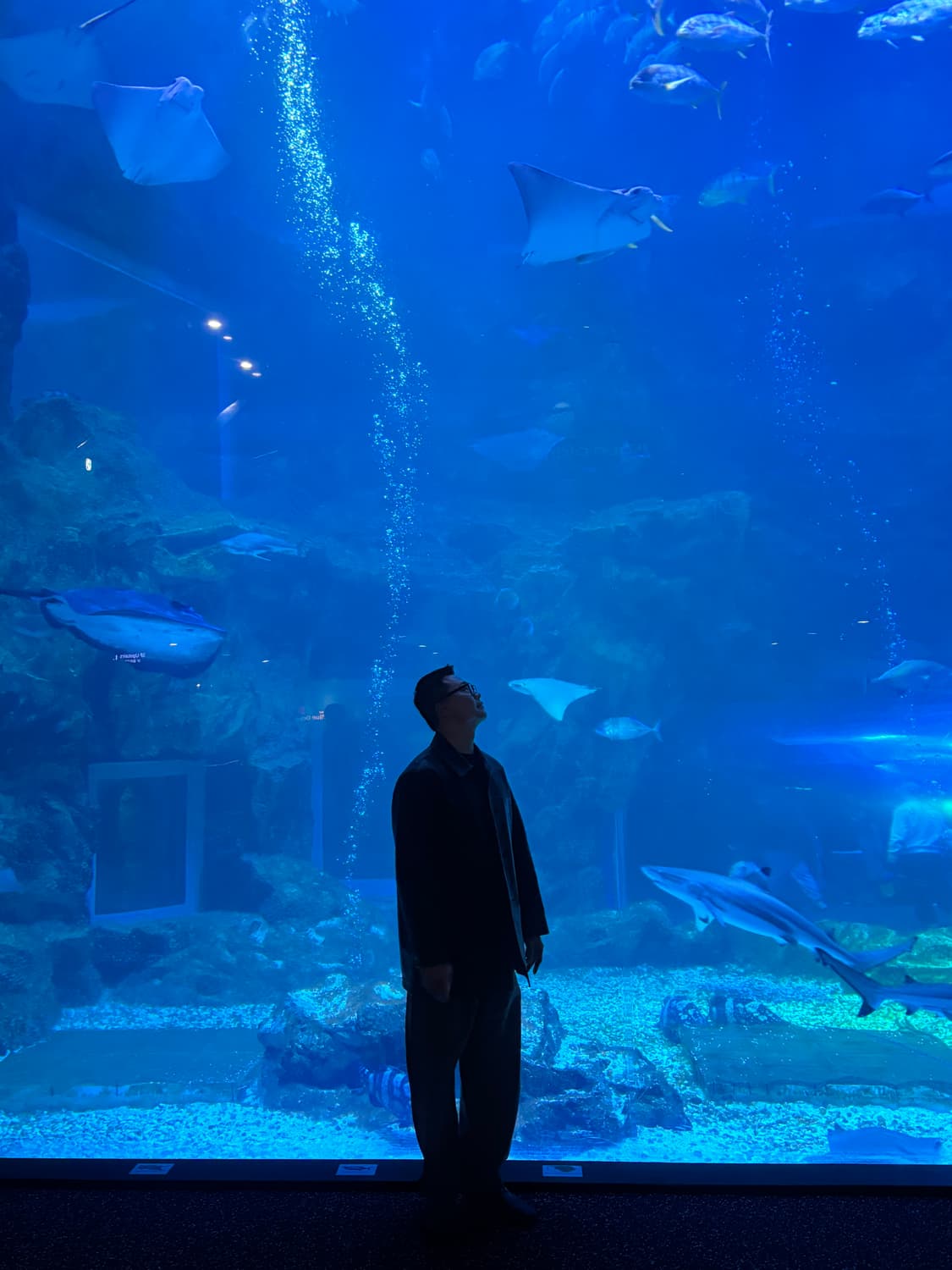 디그레 카코트 상품이미지4