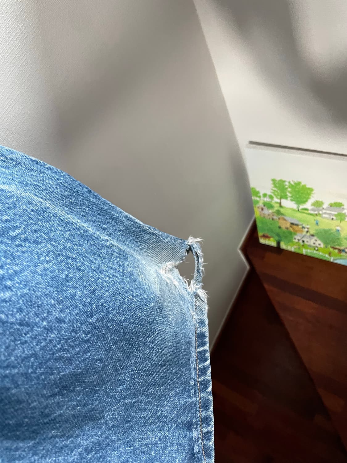 Carhartt-denim pants 상품이미지5