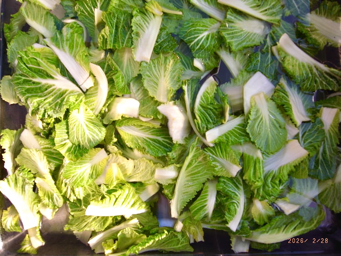 (작례!)Ricoh Caplio GX200디카 상품이미지6