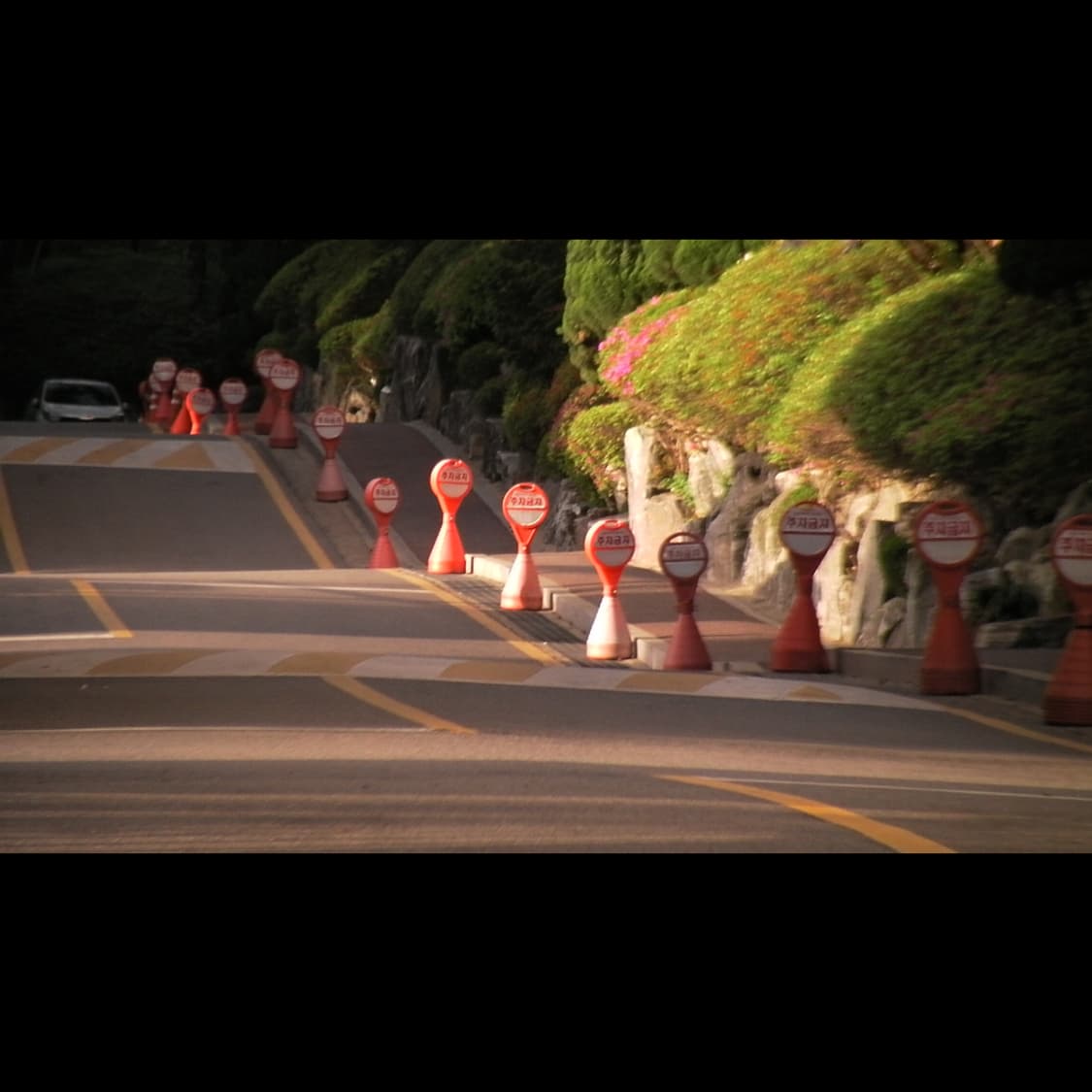 작례⭕️ 산요 DMX-CS1 상품이미지8