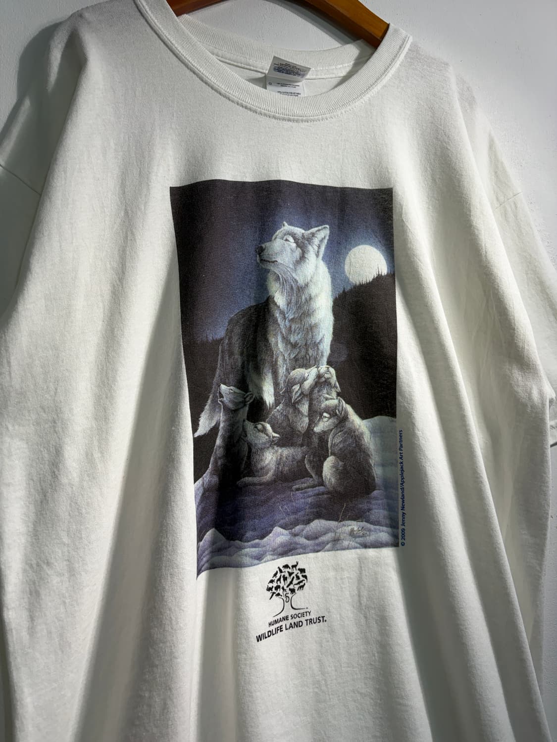 만원샵) Gildan 길단 프린팅 반팔티 L C268 상품이미지3