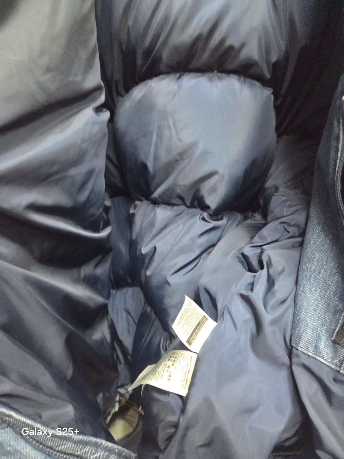 리바이스   데님    패딩 상품이미지5