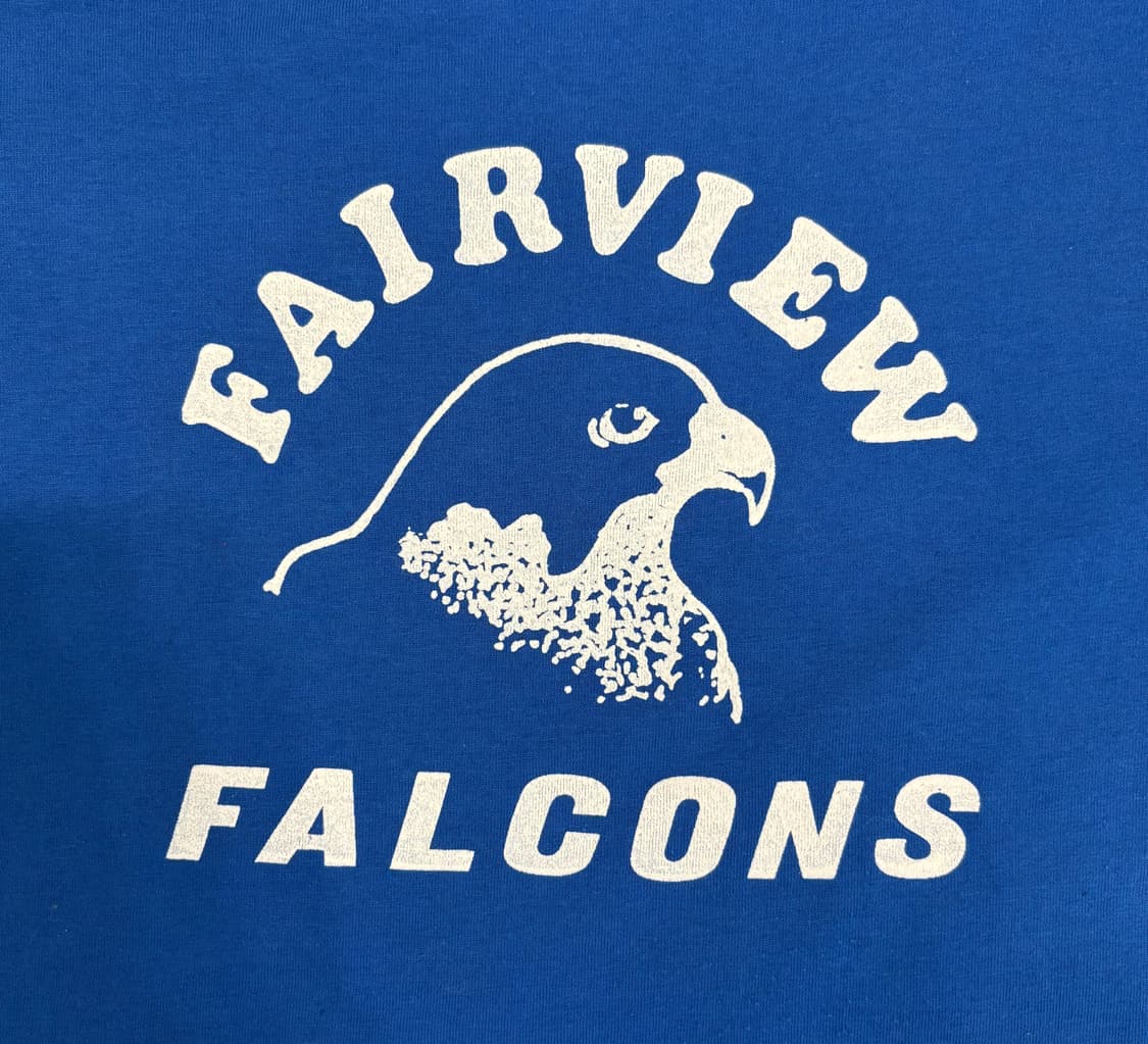 hanes Falcons 티셔츠 상품이미지2