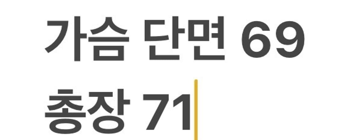 [정품/3XL] 노스페이스 그린랜드 고어텍스 b17 상품이미지10