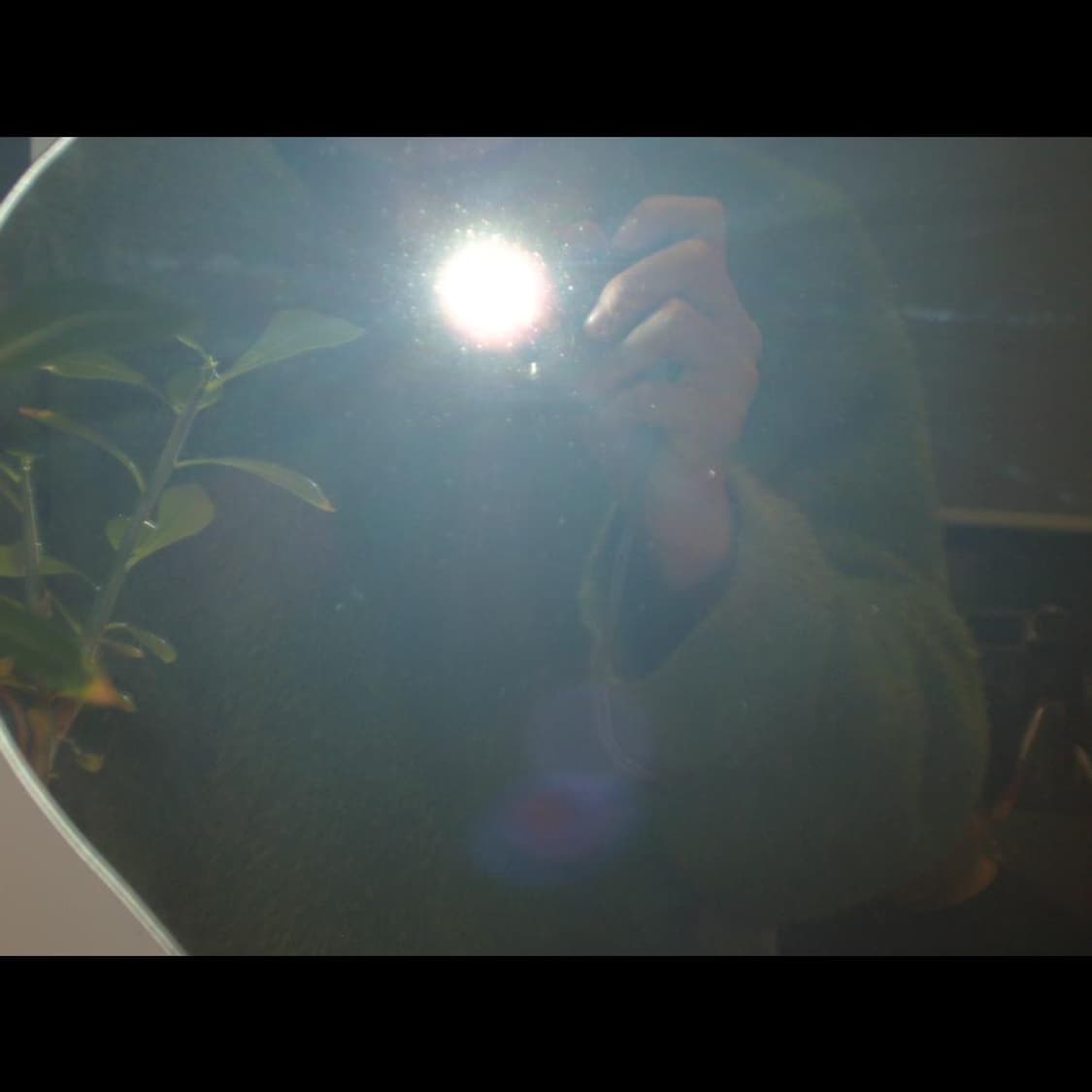 작례⭕️ 앱손 L-500V 상품이미지6