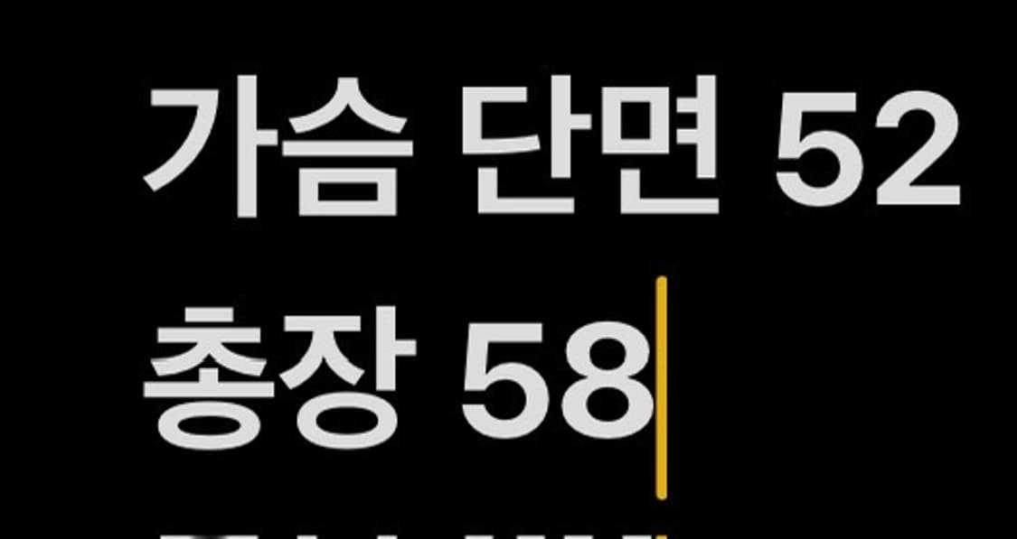 [정품/95] 아디다스 3s 삼선 패딩 져지 네이비 핑크 b10 상품이미지8