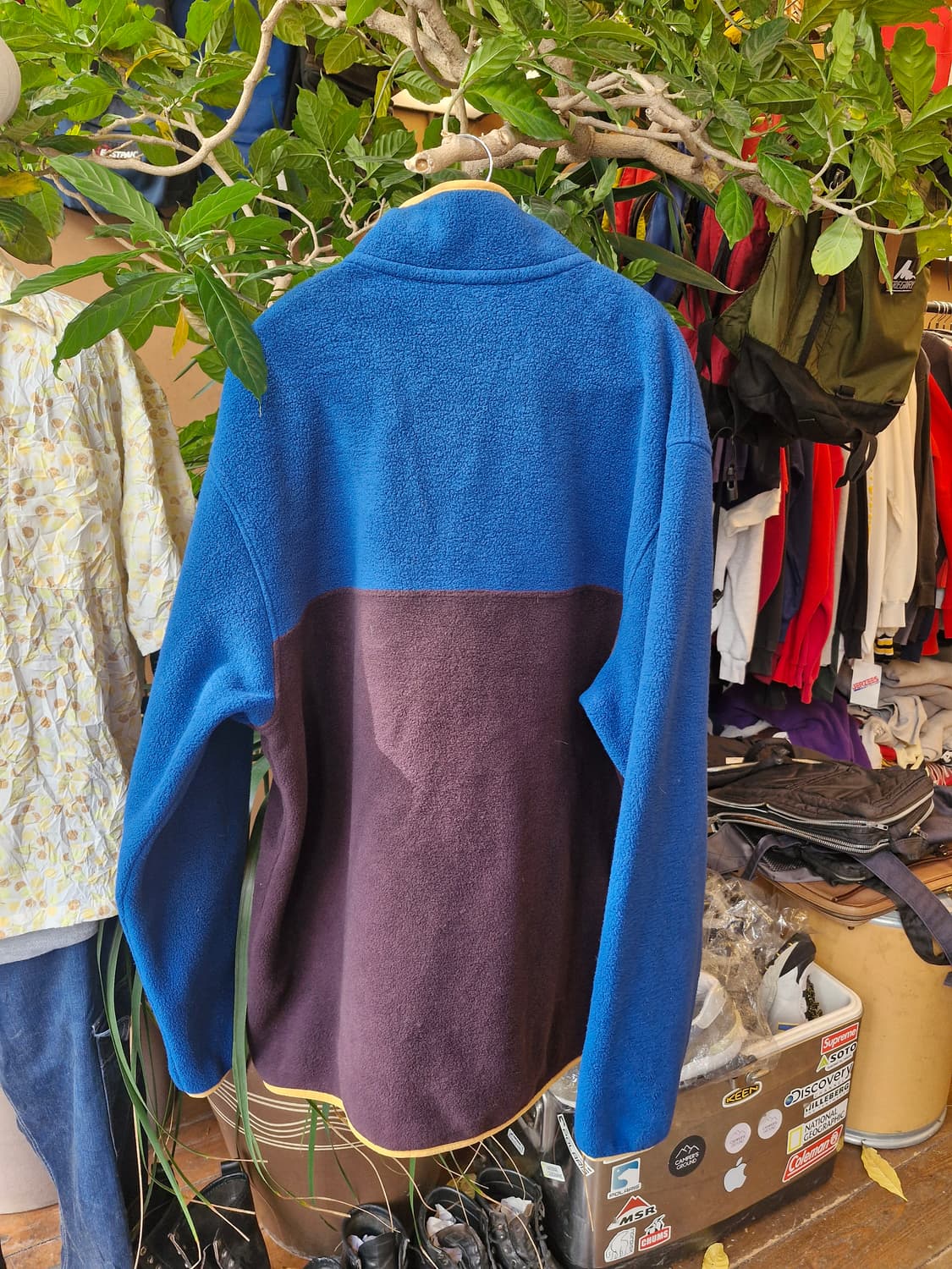 Z-300 파타고니아 신칠라 상품이미지2