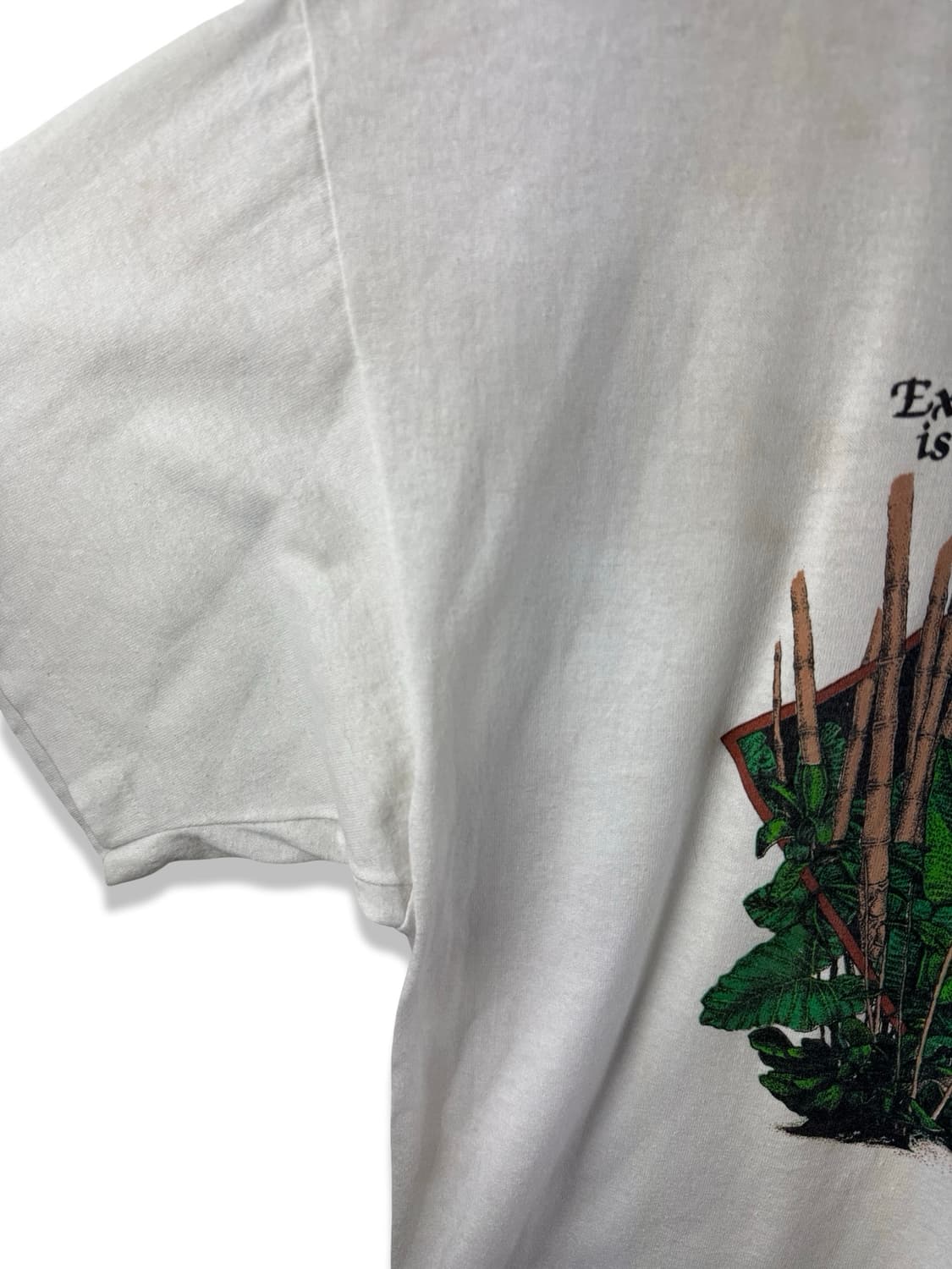 90S 미국생산 백호 프린팅 싱글스티치 티셔츠2463 상품이미지4