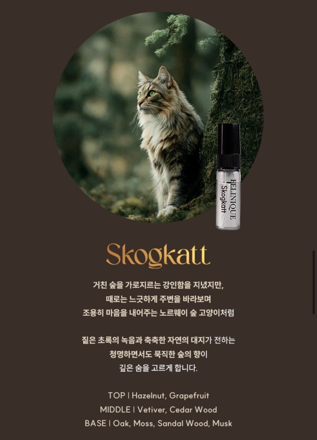 [국문택] 펠리니크 스코그캇 오 드 퍼퓸(3ml) 상품이미지5