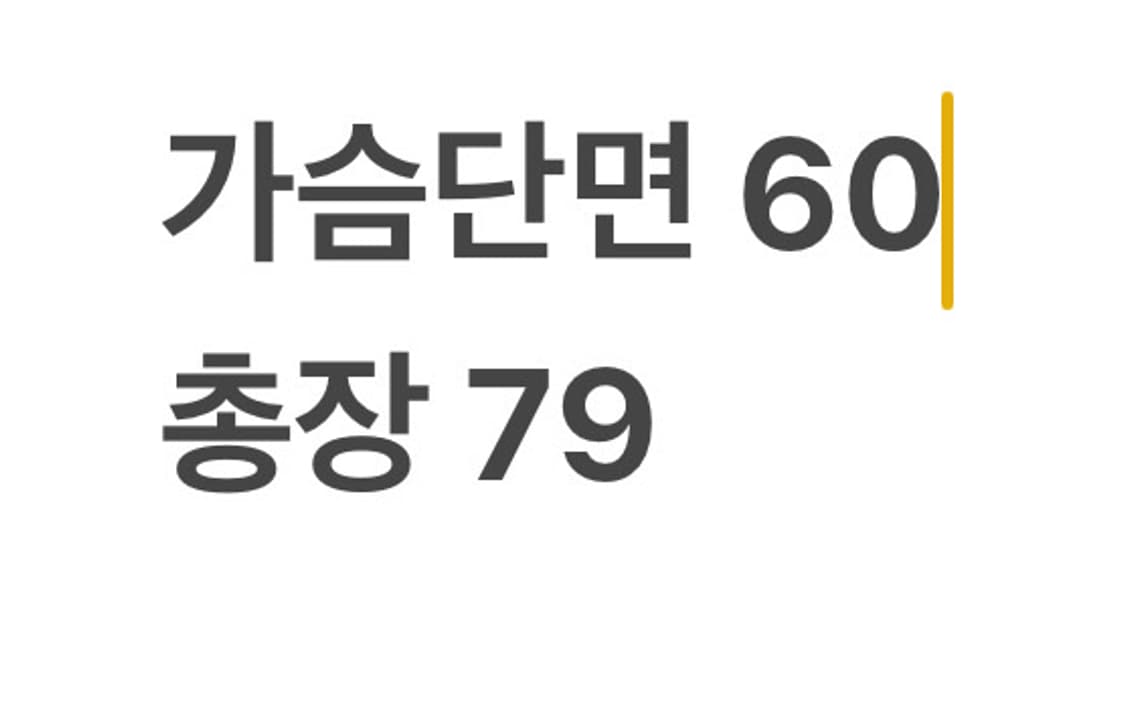 폴로랄프로렌 스트라이프 반팔셔츠 상품이미지4