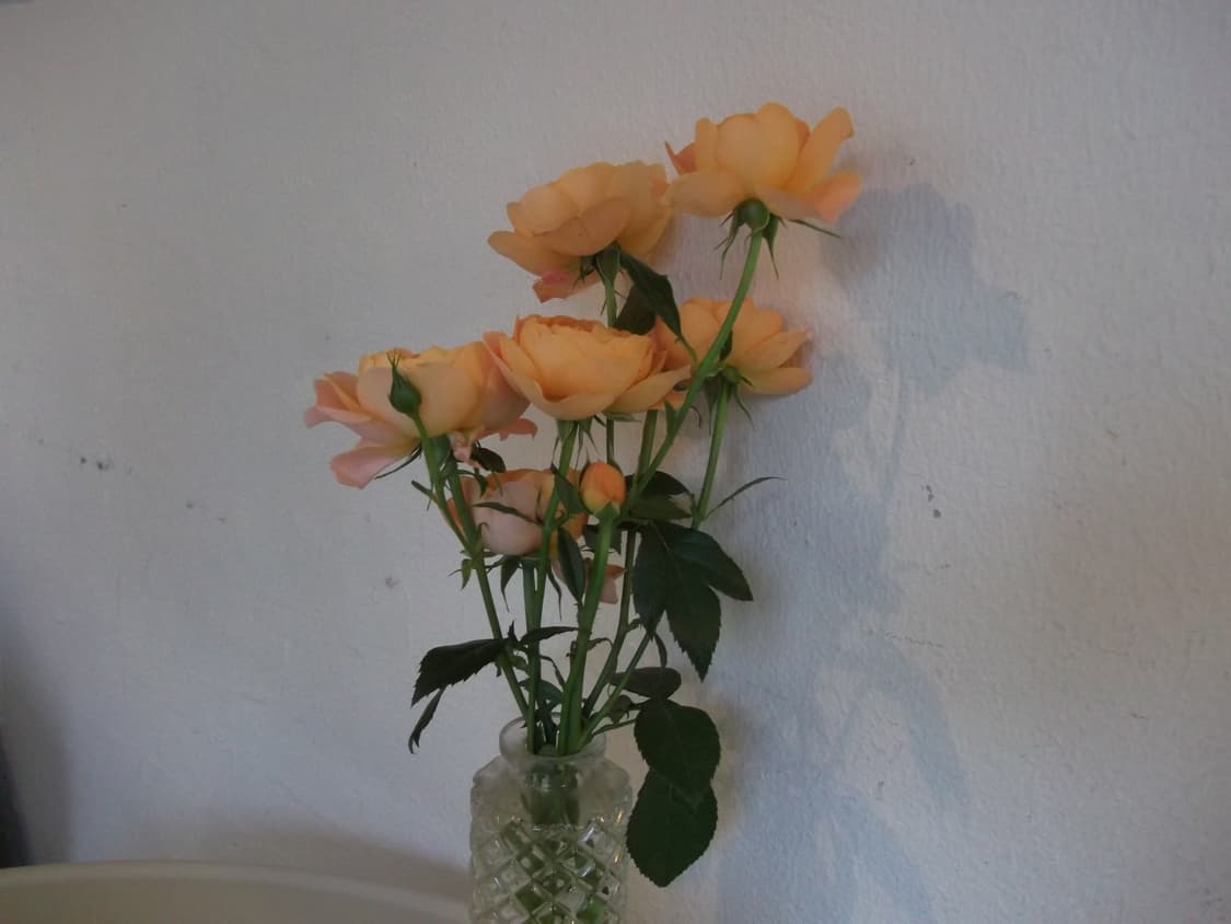 [입문추천템]후지필름 Finepix A100 실버 빈티지디카  상품이미지6