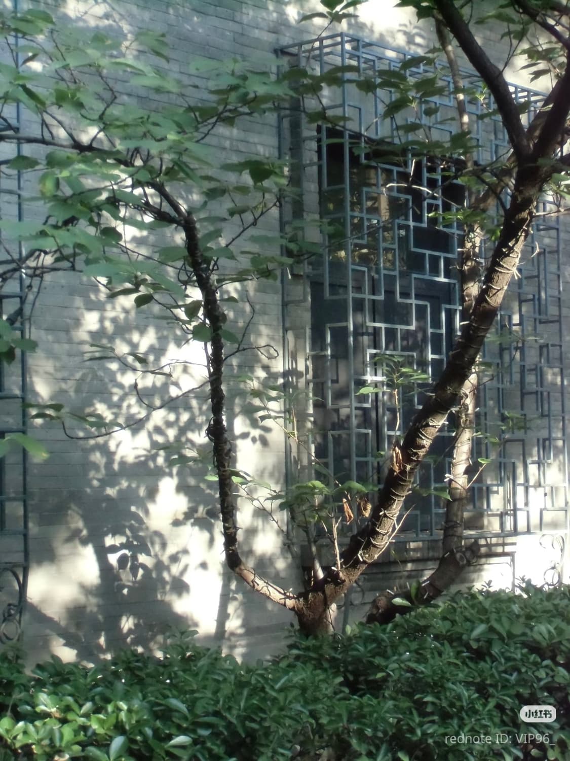 작례O)카시오 ex-zs150(엑슬림-zx150) 미품급! 판매 상품이미지6