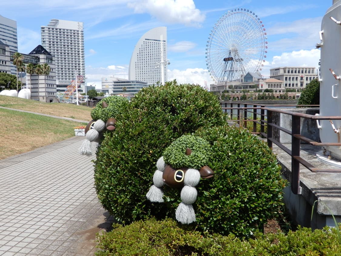 니콘 쿨픽스 Nikon COOLPIX A1000 블랙 상품이미지3