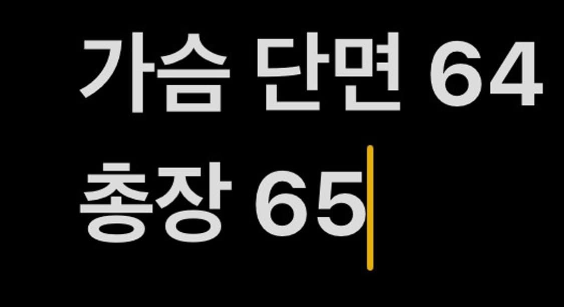 [ 정품/L ] 에스피오나지 바람막이 자켓 b16 상품이미지10