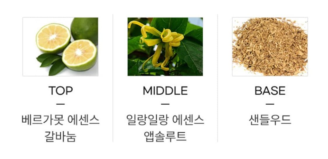 프라다 레 인퓨전 드 프라다 일랑 오드퍼퓸 100ml 상품이미지3