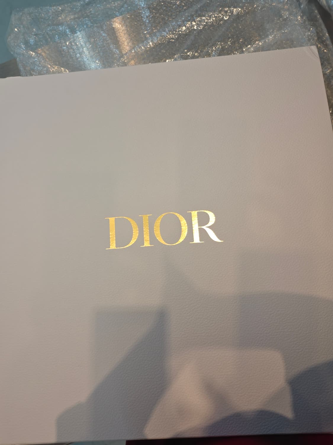 Dior Book Tote 미디엄 백 상품이미지10