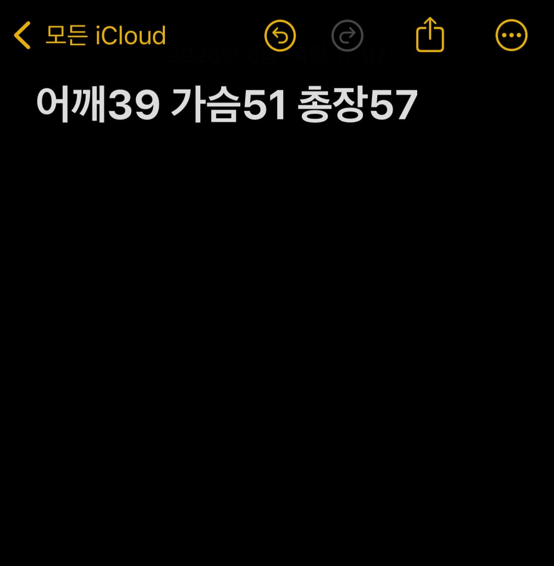 버버리 노바체크 셔츠 상품이미지7