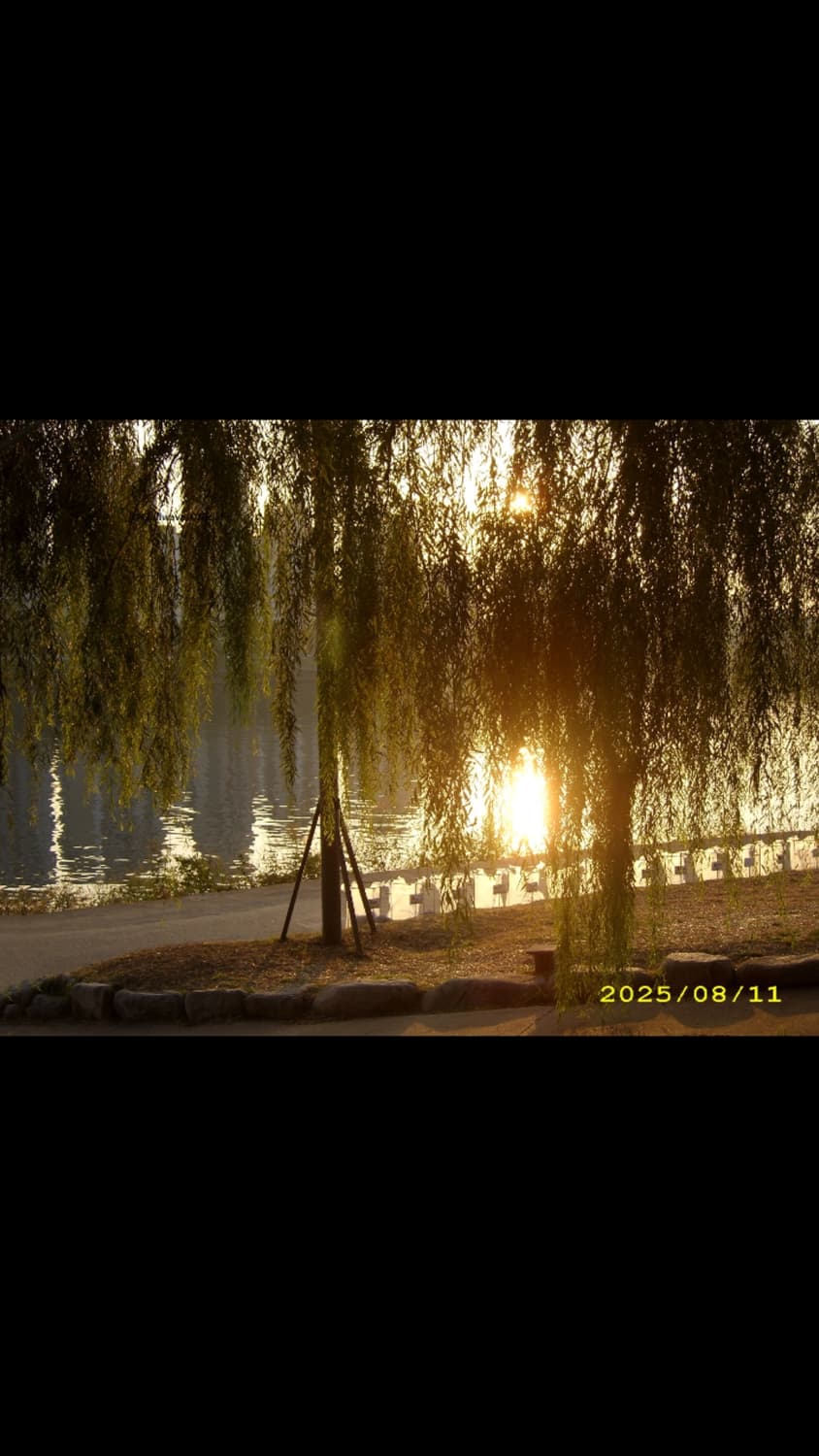 Rollei Da1325 상품이미지3