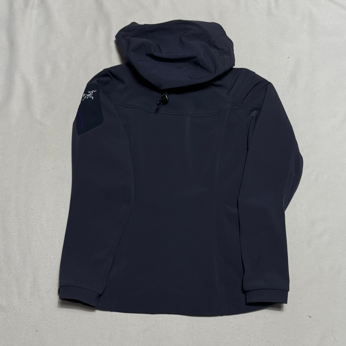 S 아크테릭스 감마 MX 후디 상품이미지3