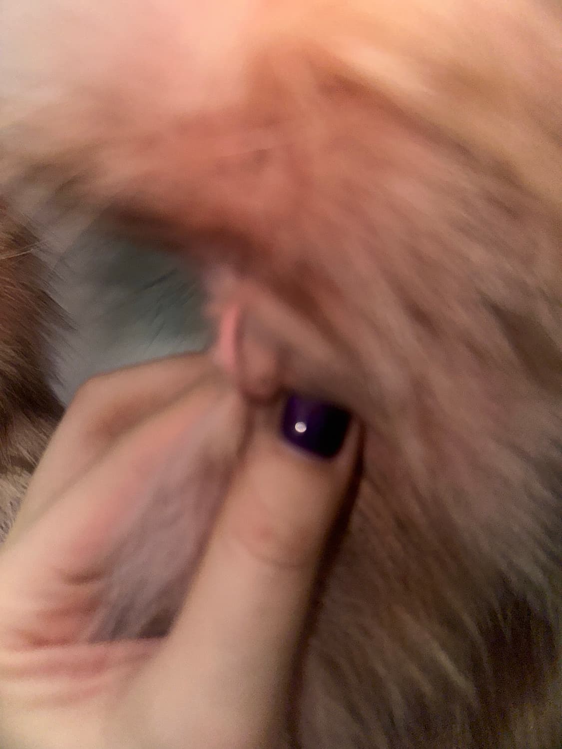 빈티지 핑크 폭스 퍼자켓 상품이미지5