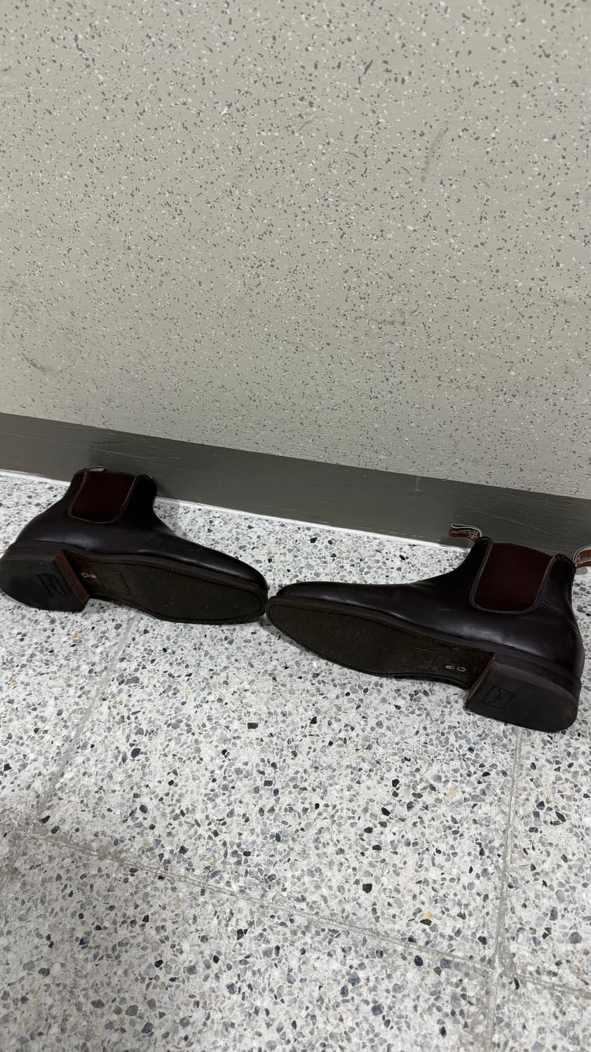 RM WILLIAMS Yearling Chestnut 8G 270 상품이미지4