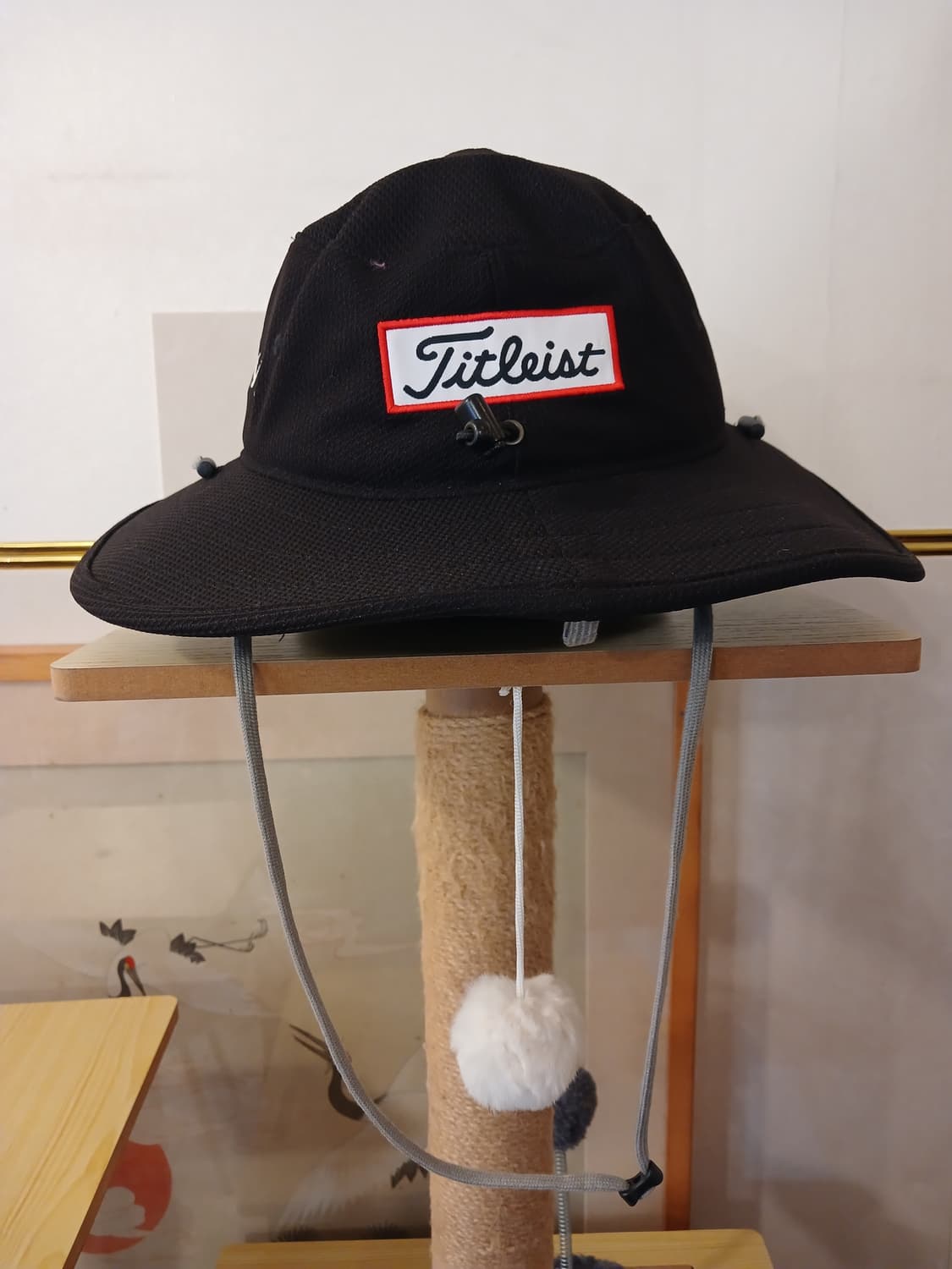 타이틀리스트 정품 남여공용 등산모자 free 사이즈 상품이미지1