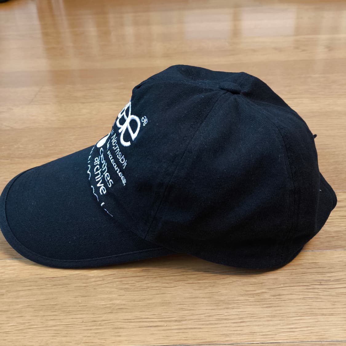 aeae 에이이에이이 웹 로고 5 패널 볼캡 상품이미지3