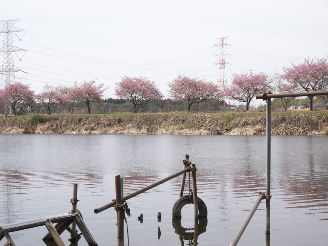 리코 카프리오 Ricoh Caplio GX100 블랙 상품이미지3
